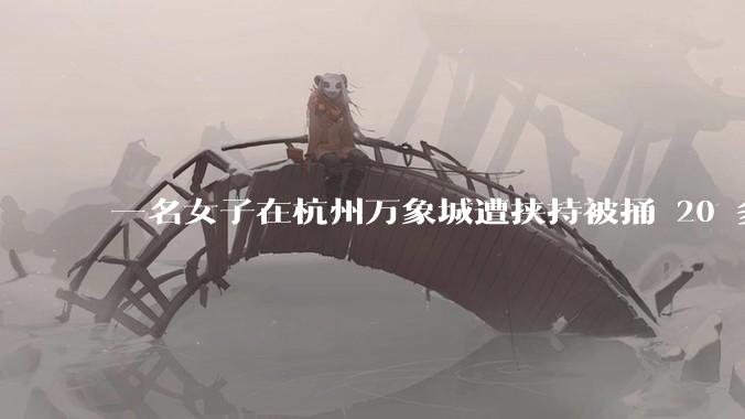 一名女子在杭州万象城遭挟持被捅 20 多刀，隆胸***体救了一命，这反映出哪些公安系统的问题？