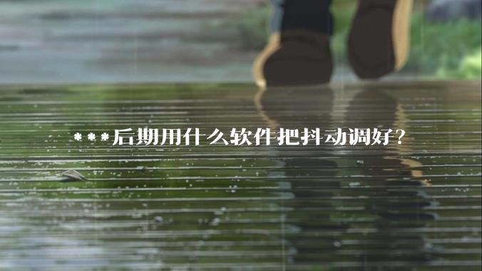 ***后期用什么软件把抖动调好？