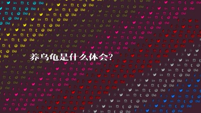 养乌龟是什么体会？