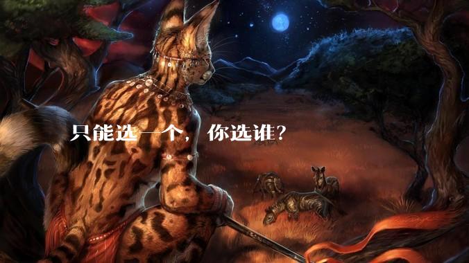只能选一个，你选谁？