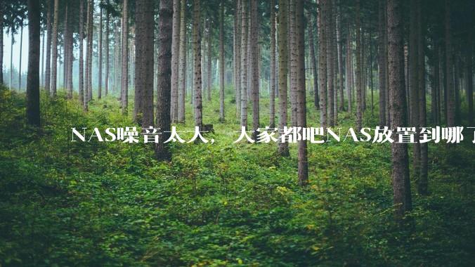NAS噪音太大，大家都吧NAS放置到哪了？