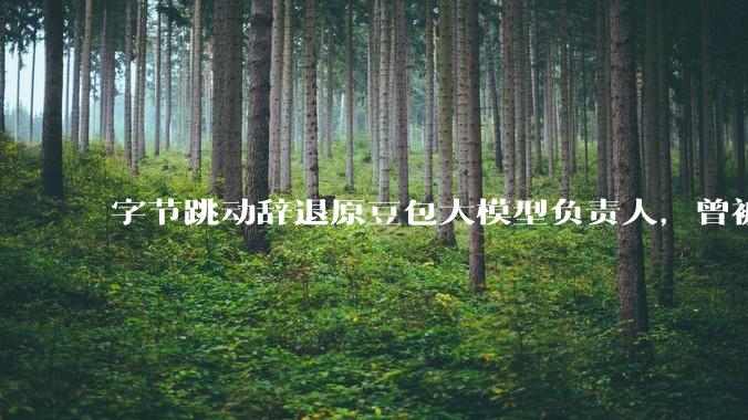 字节跳动辞退原豆包大模型负责人，曾被曝婚内出轨下属，怎样看待这一处理结果？