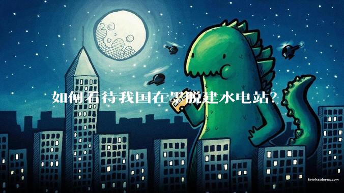 如何看待我国在墨脱建水电站？