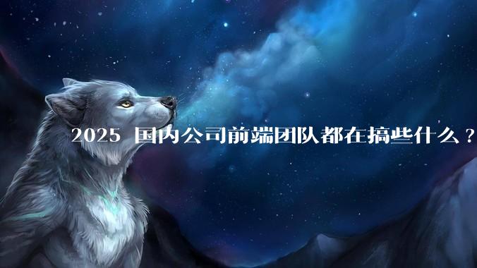 2025 国内公司前端团队都在搞些什么?