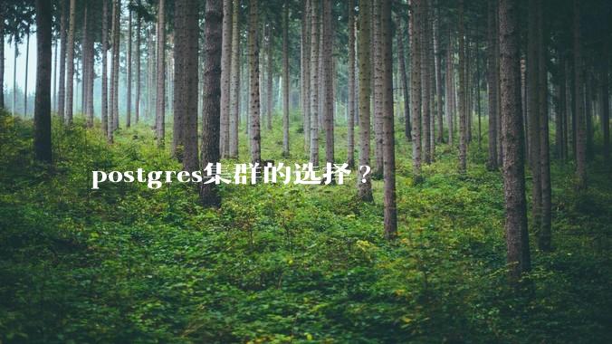 postgres集群的选择?