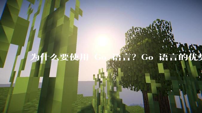 为什么要使用 Go 语言？Go 语言的优势在哪里？