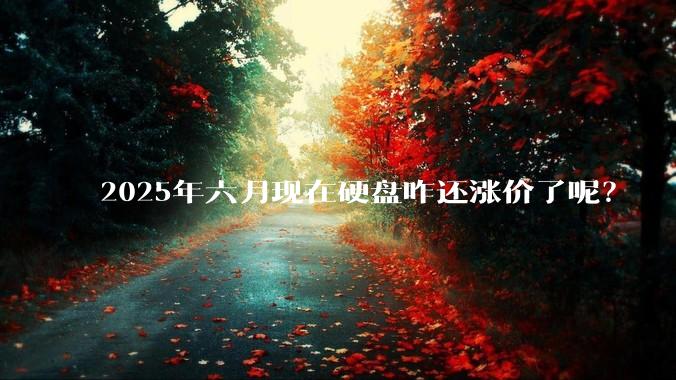 2025年六月现在硬盘咋还涨价了呢？