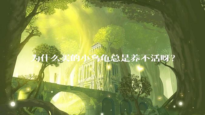 为什么买的小乌龟总是养不活呀？