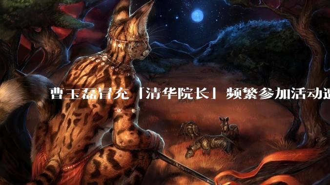 曹玉磊冒充「清华院长」频繁参加活动遭官方打***，他为何能堂而皇之以***身份开展活动？其将受到哪些处罚？