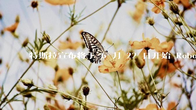 特斯拉宣布将于 6 月 22 日开始 Robotaxi 公开试运营，这将对自动驾驶行业带来哪些影响？
