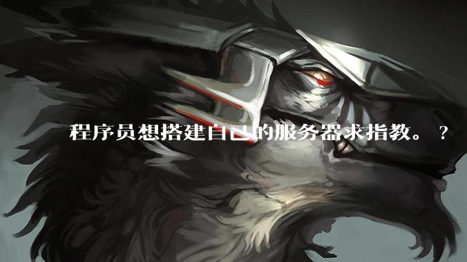 程序员想搭建自己的服务器求指教。?
