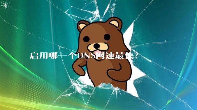 启用哪一个DNS网速最快？
