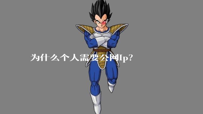 为什么个人需要公网ip？