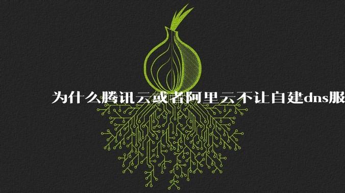 为什么腾讯云或者阿里云不让自建dns服务器?