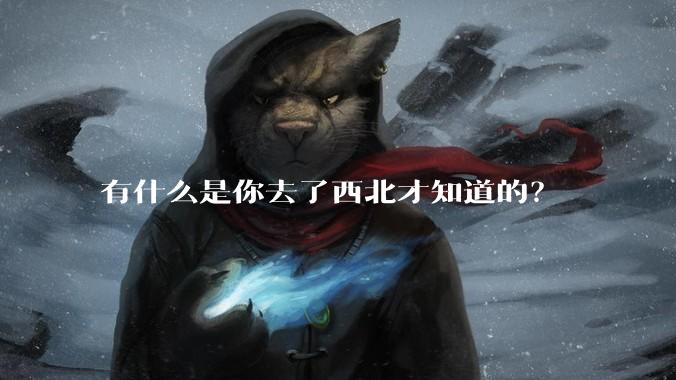 有什么是你去了西北才知道的？