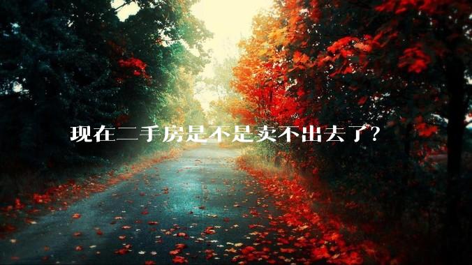 现在二手房是不是卖不出去了？