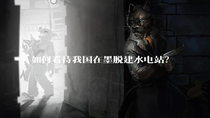 如何看待我国在墨脱建水电站？