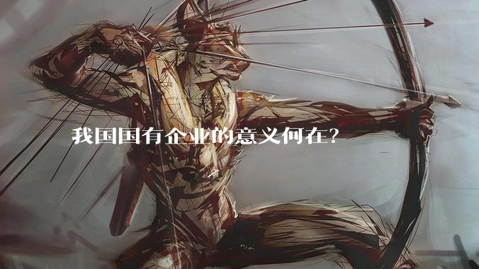 我国国有企业的意义何在？