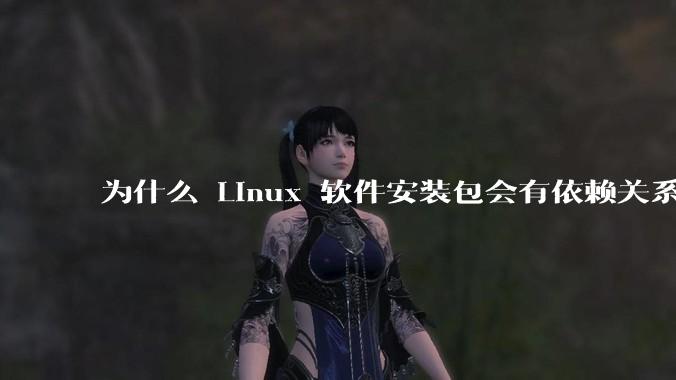 为什么 Linux 软件安装包会有依赖关系，而 Windows 软件安装包不需要？