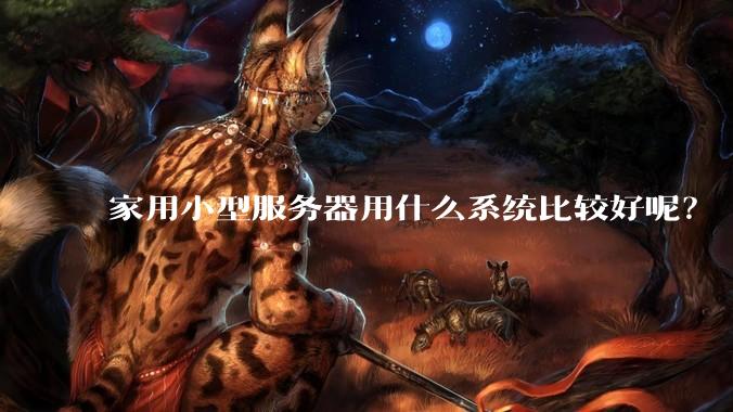 家用小型服务器用什么系统比较好呢？
