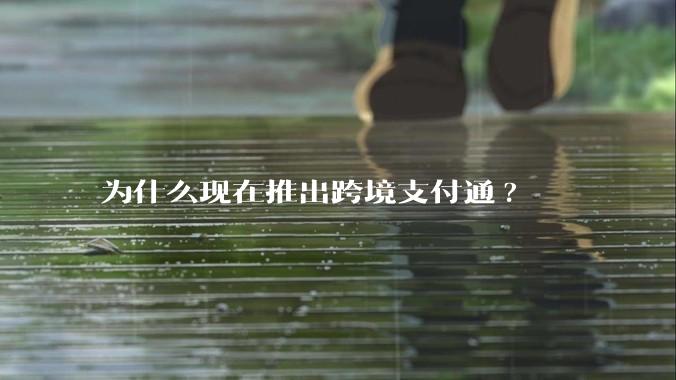 为什么现在推出跨境支付通?