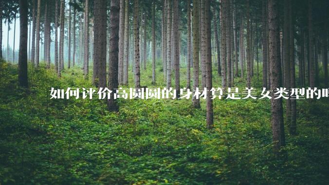 如何评价高圆圆的身材算是美女类型的吗？