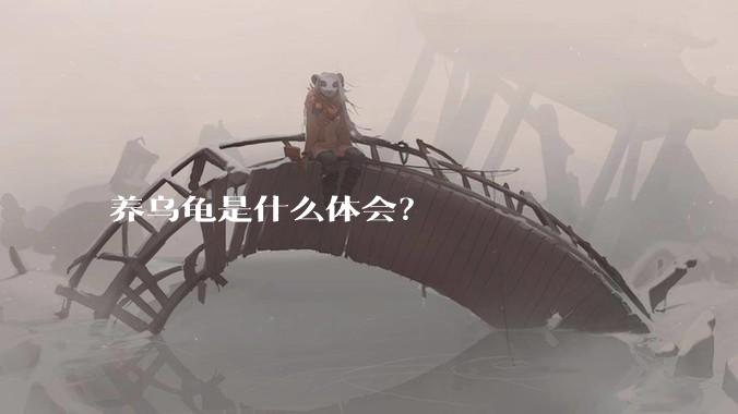 养乌龟是什么体会？