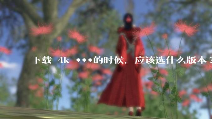 下载 4k ***的时候，应该选什么版本?