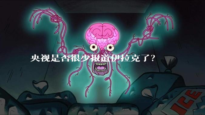 央视是否很少报道伊拉克了？