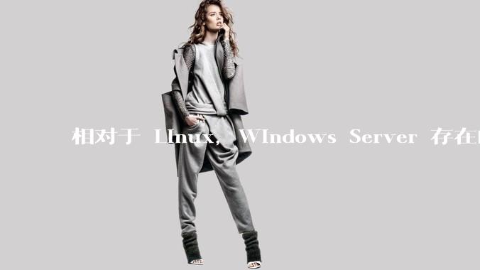 相对于 Linux，Windows Server 存在的意义是什么？