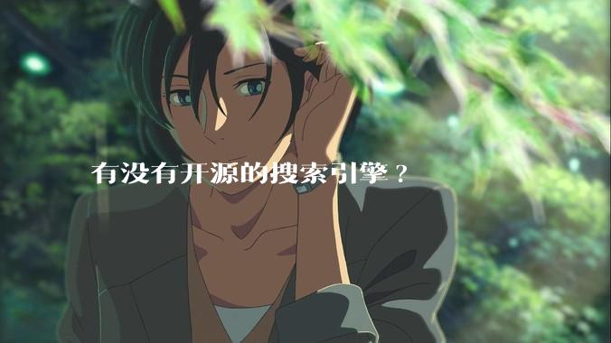 有没有开源的搜索引擎?