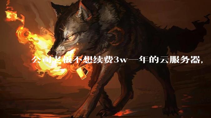 公司老板不想续费3w一年的云服务器，合理吗？