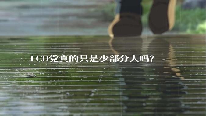 LCD党真的只是少部分人吗？