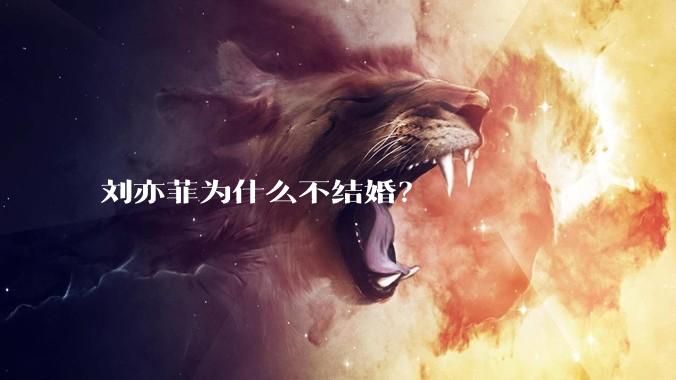 刘亦菲为什么不结婚？