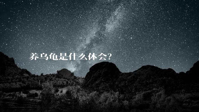 养乌龟是什么体会？