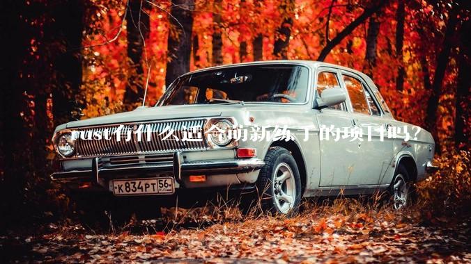 rust有什么适合萌新练手的项目吗？