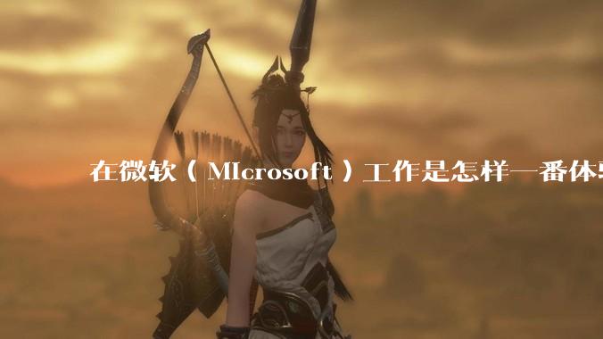 在微软（Microsoft）工作是怎样一番体验？