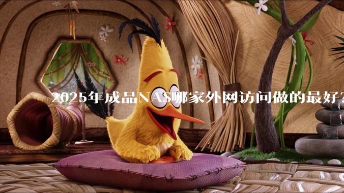 2025年成品NAS哪家外网访问做的最好？