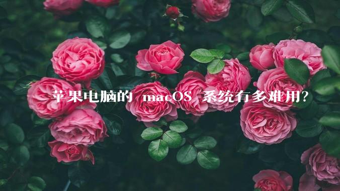 苹果电脑的 macOS 系统有多难用？