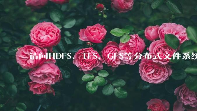 请问HDFS、TFS、GFS等分布式文件系统，哪个更适合用来做***存储？