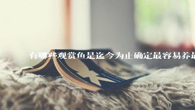 有哪些观赏鱼是迄今为止确定最容易养最不容易死的？