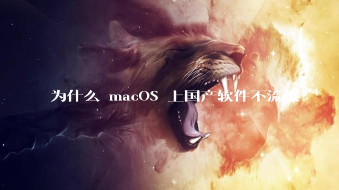 为什么 macOS 上国产软件不流氓？