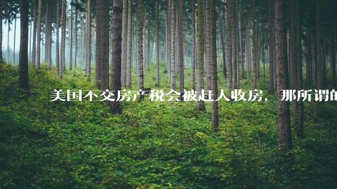 美国不交房产税会被赶人收房，那所谓的永久产权还有什么意义？