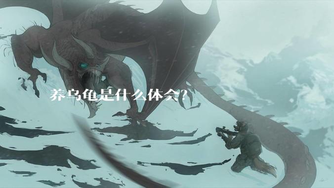 养乌龟是什么体会？