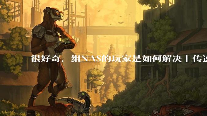 很好奇，组NAS的玩家是如何解决上传速率的问题?