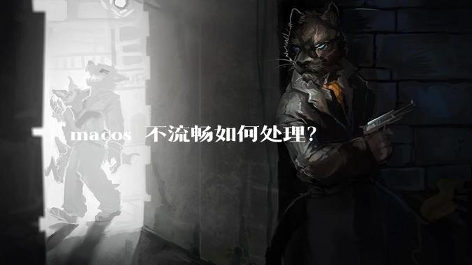 macos 不流畅如何处理？