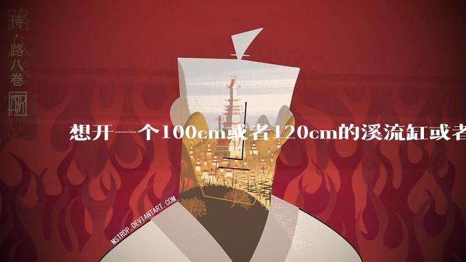 想开一个100cm或者120cm的溪流缸或者水草缸，有没有大佬指导一下，有哪些注意事项？