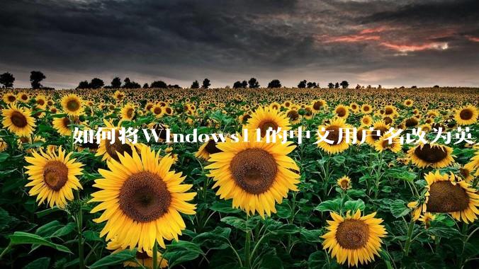 如何将Windows11的中文用户名改为英文？