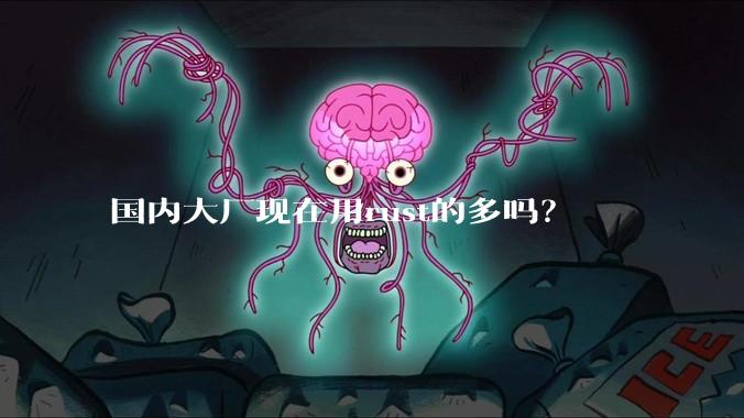 国内大厂现在用rust的多吗？
