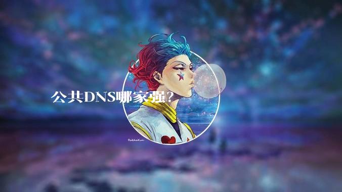 公共DNS哪家强？